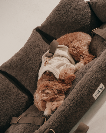 Premium Dog Car Seat for Safe & Comfortable Travel | Silver Circle Pet