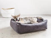 Give Your Dog the Comfort They Deserve!