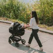 Animal Stroller